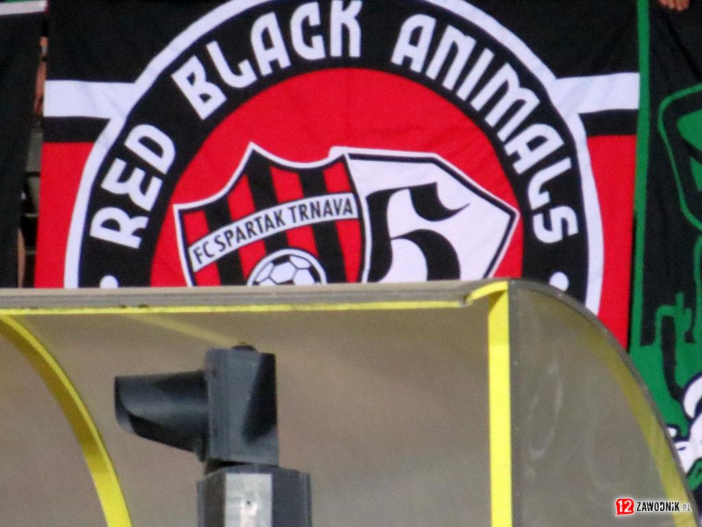 ROW Rybnik – Ruch Radzionków 28.08.2024